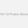 Synthetic WNV M Protein Blocking Peptide